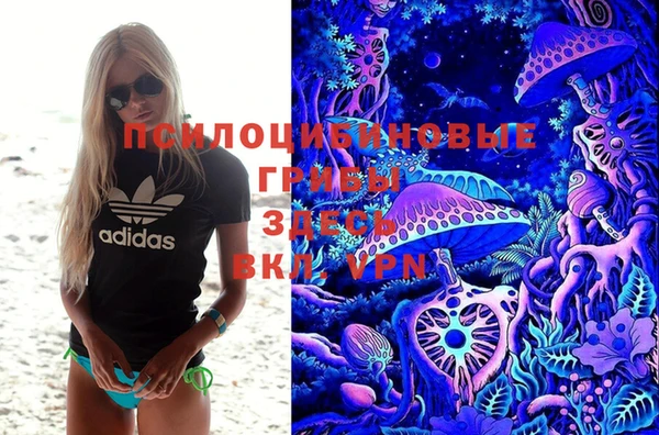mdpv Арсеньев