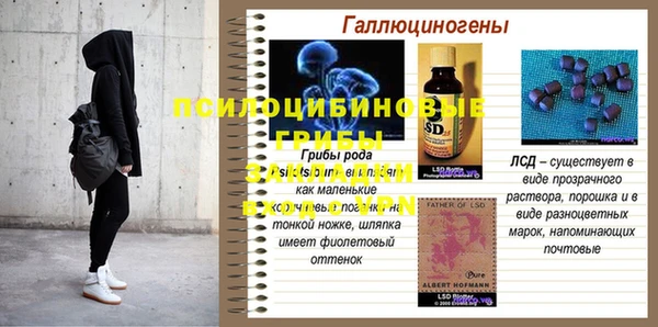 прущие грибы Алексеевка