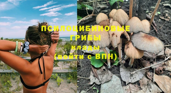 таблы Аркадак