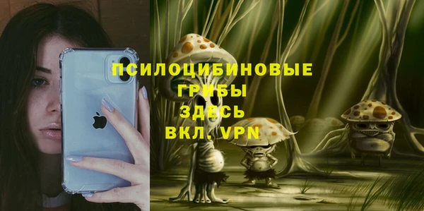 спиды Алексин